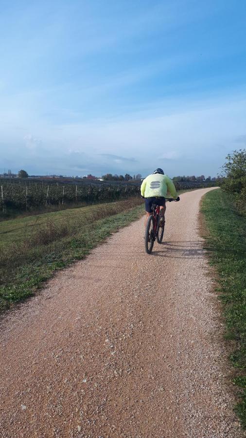 Sulla Ciclabile Apartment Lungo Il Fiume Adige Zevio 外观 照片