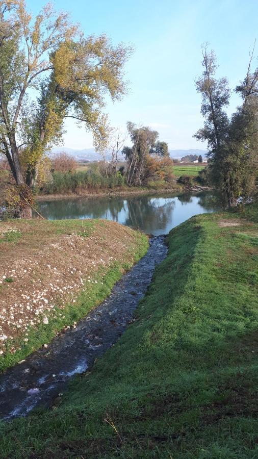 Sulla Ciclabile Apartment Lungo Il Fiume Adige Zevio 外观 照片