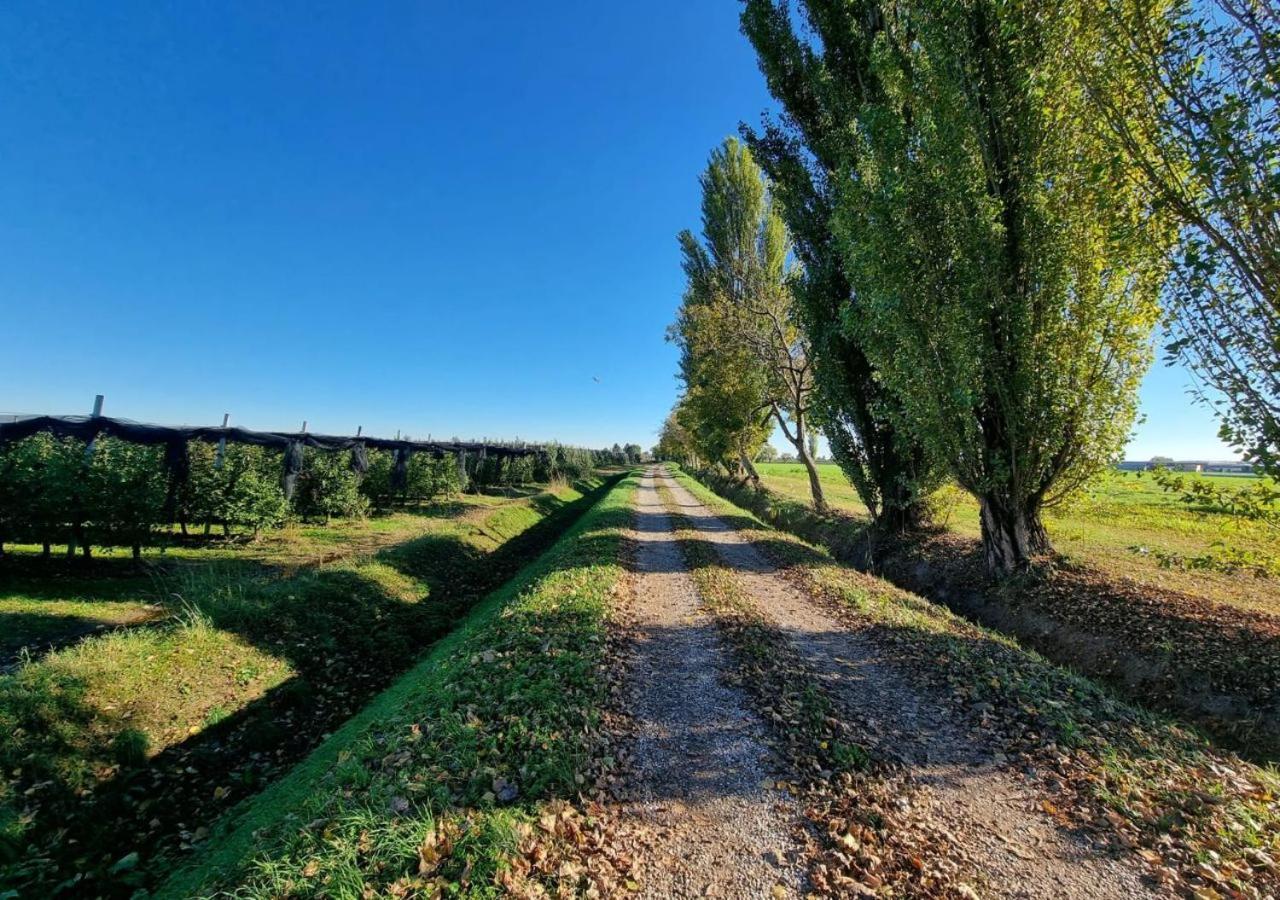 Sulla Ciclabile Apartment Lungo Il Fiume Adige Zevio 外观 照片