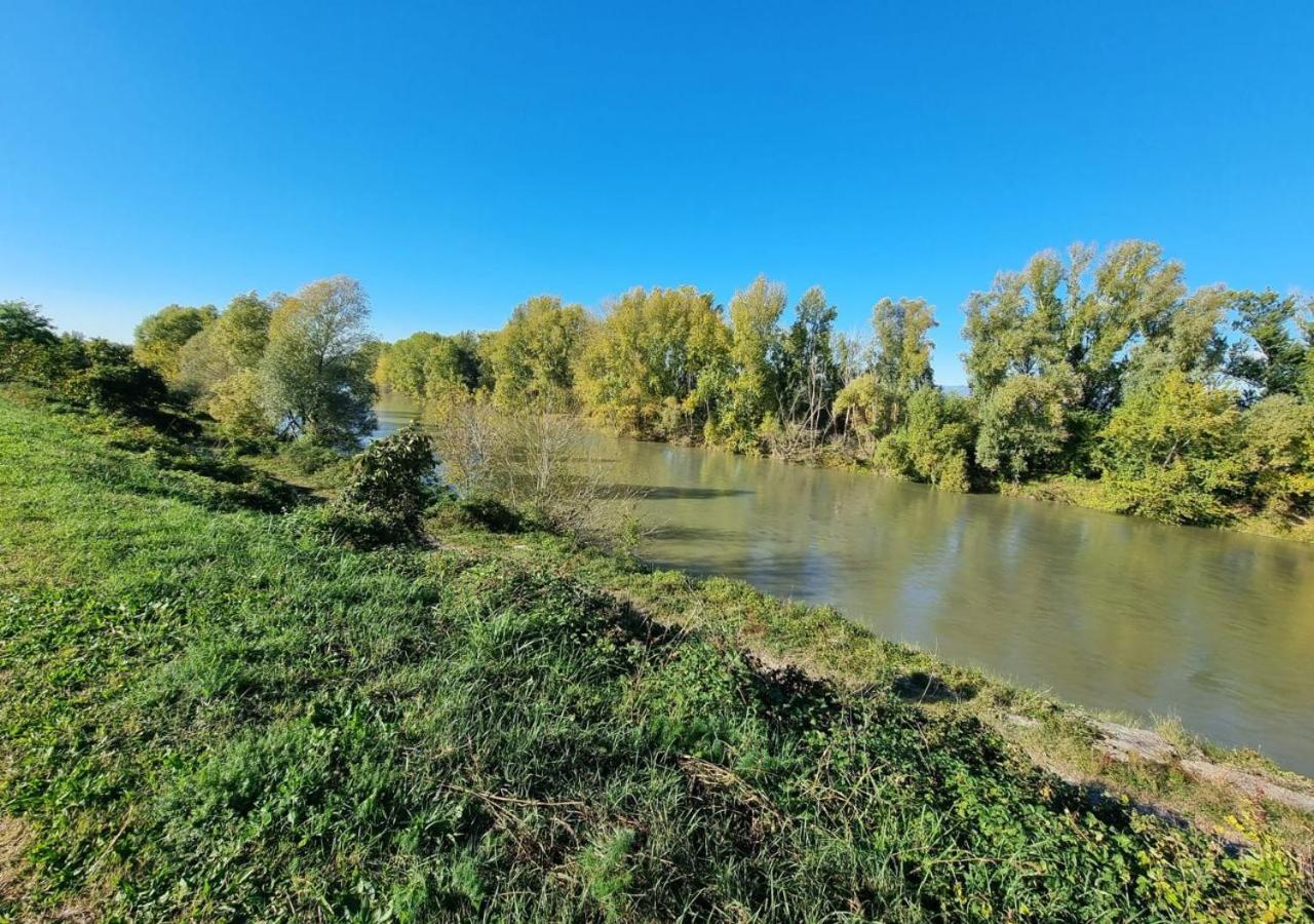 Sulla Ciclabile Apartment Lungo Il Fiume Adige Zevio 外观 照片